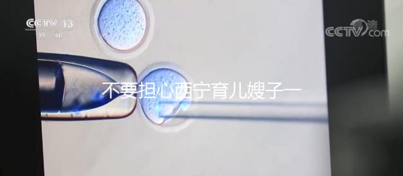 不要擔(dān)心西寧育兒嫂子一個月多少錢,關(guān)心機(jī)構(gòu)是否正式