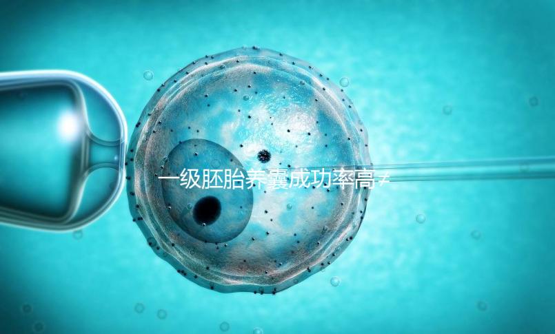 一級(jí)胚胎養(yǎng)囊成功率高≠零失敗，染色體異常是主要原因