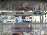 三代試管嬰兒有什么要求(三代試管嬰兒有什么要求和條件)