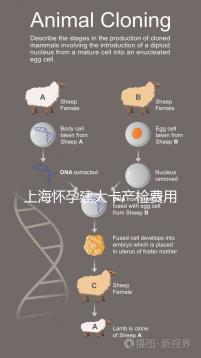 上海懷孕建大卡產(chǎn)檢費用分享,不同地區(qū)收費標準差別大!