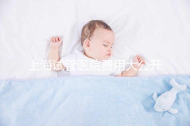 上海試管醫院費用大公開！過來人表示無法報銷真不便宜
