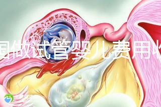 中國做試管嬰兒費用收費價目表一覽，包含具體成本預算