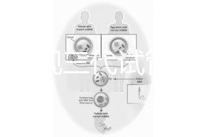 中國正規(guī)三代試管嬰兒機(jī)構(gòu)名單,2025生殖機(jī)構(gòu)排名參考
