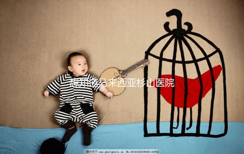 想知道馬來(lái)西亞杉山醫(yī)院試管嬰兒治療費(fèi)用清單嗎?看這里