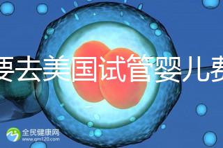 想要去美國試管嬰兒費用要花多少錢？2025年費用明細！