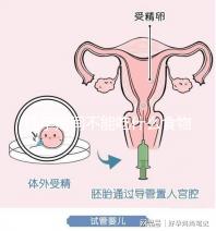 懷孕期間不能吃什么食物?