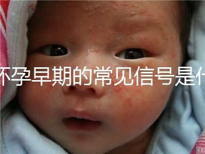 懷孕早期的常見信號(hào)是什么?