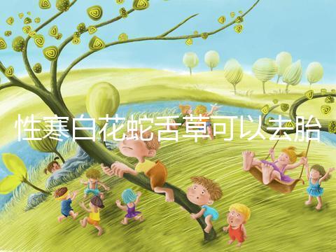 性寒白花蛇舌草可以去胎毒別亂吃！小心流產找上門