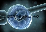 提高胚胎著床秘訣之免疫球蛋白，移植前后注射作用竟不同
