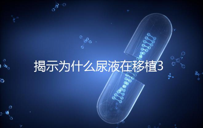 揭示為什么尿液在移植30天后需要稀釋才能測(cè)量，正常情況下不一目了然