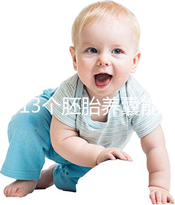 揭秘13個胚胎養(yǎng)囊能養(yǎng)成幾個，別以為6個著床幾率就高