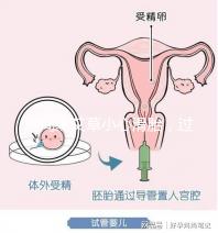 房間熏艾草小心滑胎，過度使用這些危害后悔沒早知道