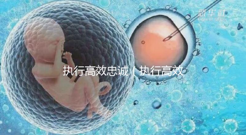 執行高效忠誠(執行高效忠誠的成語)