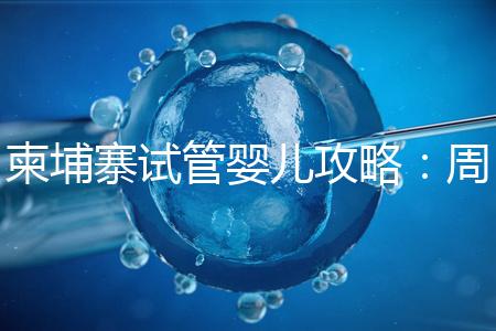 柬埔寨試管嬰兒攻略：周期和時間規(guī)劃全解析！