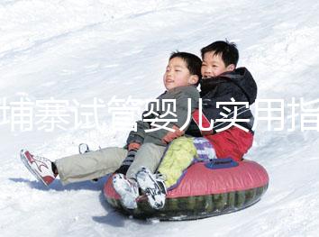 柬埔寨試管嬰兒實用指南：心中有“數(shù)”，造娃不慌