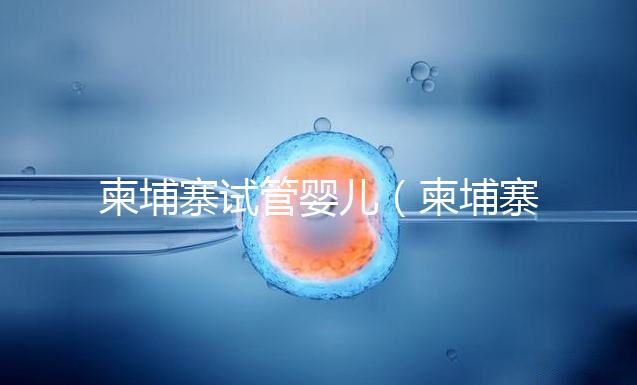 柬埔寨試管嬰兒(柬埔寨試管嬰兒最好的醫院)