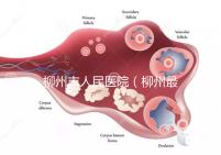 柳州市人民醫院(柳州最厲害的三個醫院)
