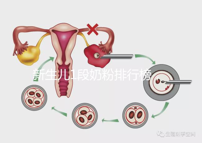 新生兒1段奶粉排行榜,口碑好、價(jià)格實(shí)惠的品牌紛紛上榜