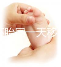 新鮮胚胎同一天移植的植入是否會有早晚，幾天三分鐘就能說清楚