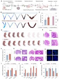 正式做試管嬰兒前,了解下北京協和醫院生殖中心怎么樣吧!