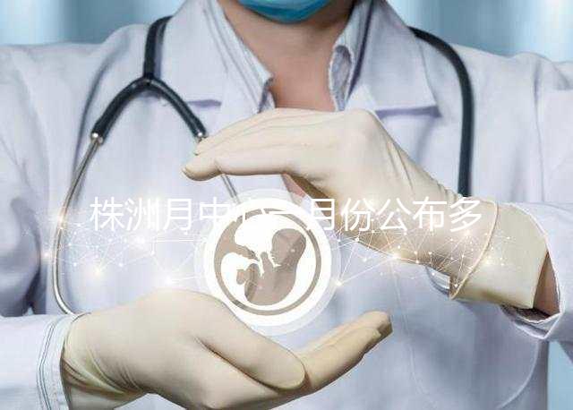 株洲月中心一月份公布多少錢？附2024年蘆松區排行榜