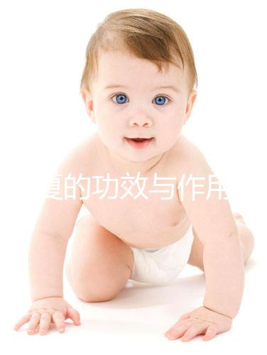 法半夏的功效與作用(法半夏是上火還是降火)