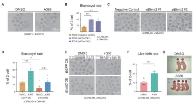 泰國(guó)單一試管機(jī)構(gòu)推薦,標(biāo)準(zhǔn)、流程和費(fèi)用清單,實(shí)現(xiàn)你的生育夢(mèng)想
