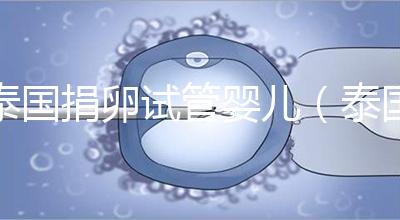 泰國捐卵試管嬰兒(泰國捐卵試管嬰兒成功案例分享)