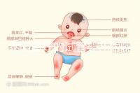 泰國最好的試管嬰兒醫院(泰國最好的試管嬰兒醫院是哪個)