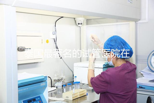 泰國最著名的試管醫院在哪里最好？推薦助孕機構名單