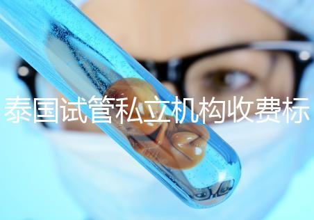 泰國(guó)試管私立機(jī)構(gòu)收費(fèi)標(biāo)準(zhǔn)公開(kāi)，收費(fèi)透明，可靠