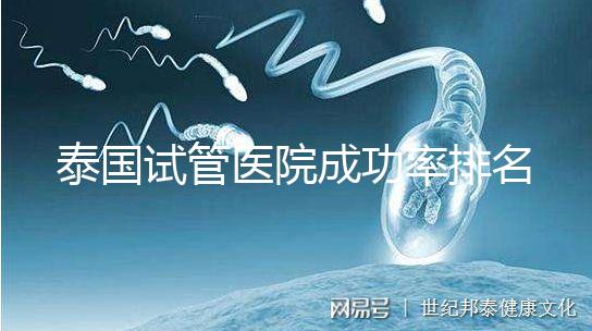 泰國試管醫(yī)院成功率排名公布，這些詳細介紹，為您提供選擇參考！