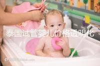 泰國(guó)試管嬰兒價(jià)格透明化：2025年費(fèi)用詳情及預(yù)算指導(dǎo)