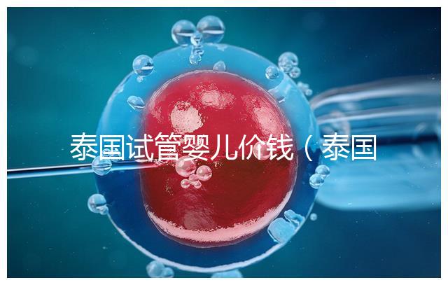 泰國試管嬰兒價錢(泰國試管嬰兒價錢是多少錢)