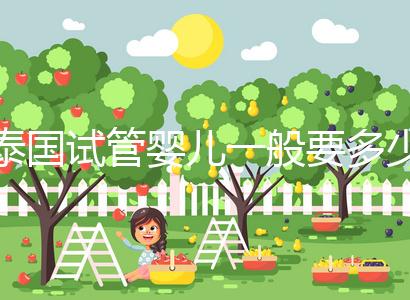 泰國(guó)試管嬰兒一般要多少錢(泰國(guó)試管嬰兒一般要多少錢費(fèi)用)