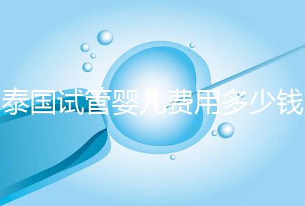 泰國試管嬰兒費(fèi)用多少錢(泰國試管嬰兒費(fèi)用多少錢呢)