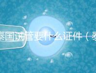 泰國試管要什么證件(泰國試管要什么證件才能做)