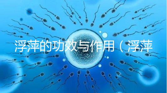 浮萍的功效與作用(浮萍泡水治蕁麻疹喝多久)