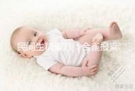 民間生精偏方:合雀報喜的做法和吃法詳解