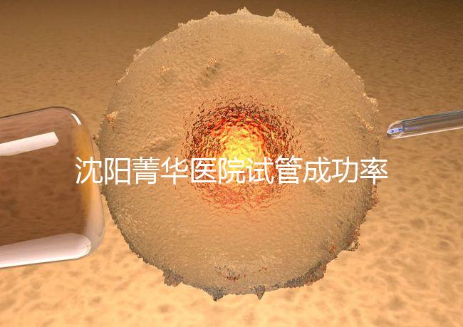 沈陽菁華醫院試管成功率高嗎？教你4招提升胚胎著床機會
