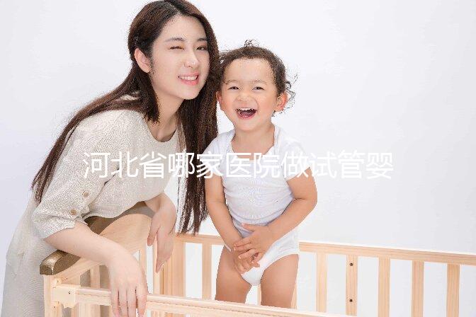 河北省哪家醫院做試管嬰兒好？這5家醫院成功上榜！