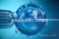 沒有胚胎凍兩個月還能活著嗎？60s會告訴你怎么樣？