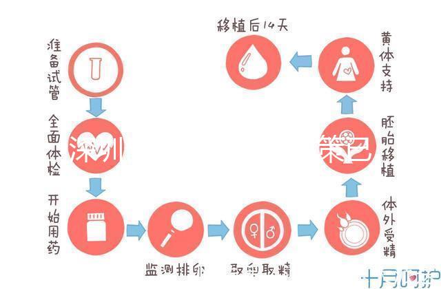 深圳最新獨(dú)生子女政策已出爐，羅湖、南山區(qū)補(bǔ)貼金均有提高