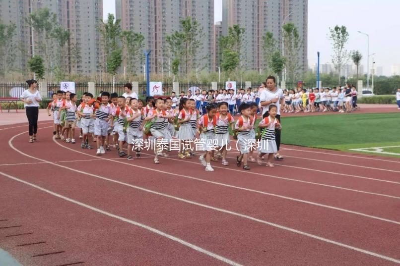 深圳泰國(guó)試管嬰兒（深圳泰國(guó)試管嬰兒技術(shù)）