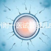 溫州附一醫試管嬰兒成功率低?生殖醫生教你科學備孕