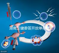 湖南衛健委答開放單身女性凍卵：不失為可行方式
