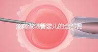 湖南做試管嬰兒的全部費(fèi)用大概是多少錢？附湖南試管嬰兒醫(yī)院排名一覽！