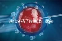 湖北省精子庫整理，醫院地址、排名、供精費用這都有