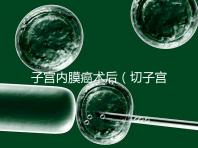 子宮內(nèi)膜癌術(shù)后(切子宮手術(shù)需要多少錢)