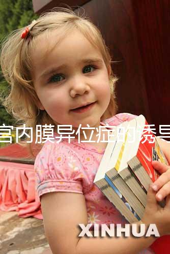 子宮內膜異位癥的誘導排卵方案，其實沒有標準答案